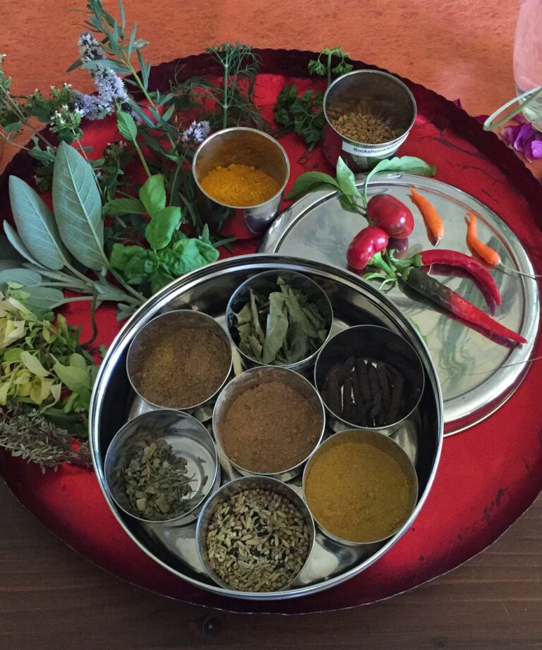 Ayurveda – Gewürze für die Gesundheit